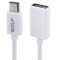 Μετατροπείς Golf Type C to USB 2.0 Female Sync OTG Cable - Λευκό (6.5 inches)
