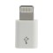 ADAPTER - MICRO USB TO LIGHTNING - WHITE