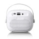 LENCO BTC-020WH Ηχείο Bluetooth με ασύρματο μικρόφωνο