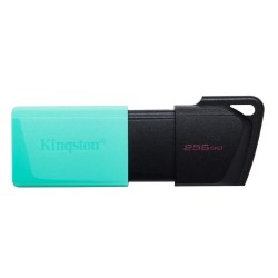 Kingston Dataraveler Exodia M 256GB USB 3.2 Gen 1 (DTXM/256GB) (KINDTXM/256GB)