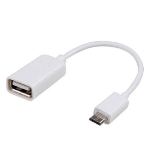 Μετατροπείς USB Host OTG (Female) σε USB C (Male) (Ασυσκεύαστο) Λευκό