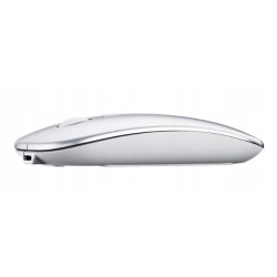 Inphic PM1BS Wireless Silent Mouse Bluetooth + 2.4G (Silver)