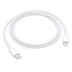 Apple καλώδιο USB Type-C σε Lightning MKQ42ZM-A, 2m, λευκό