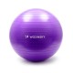 Wozinsky Μπάλα Γυμναστικής Gymnastic Exercise Ball 65cm Μωβ