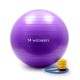Wozinsky Μπάλα Γυμναστικής Gymnastic Exercise Ball 65cm Μωβ