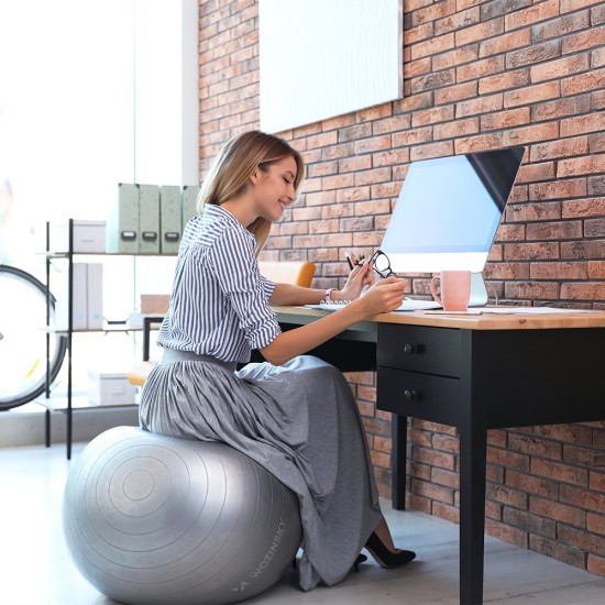 Wozinsky Μπάλα Γυμναστικής Gymnastic Exercise Ball 65cm Μωβ