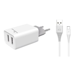 Powertech Φορτιστής τοίχου & καλώδιο USB Type-C PT-776, 2x USB, 2.1A