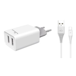 Powertech Φορτιστής τοίχου & καλώδιο Micro USB PT-775, 2x USB, 2.1A